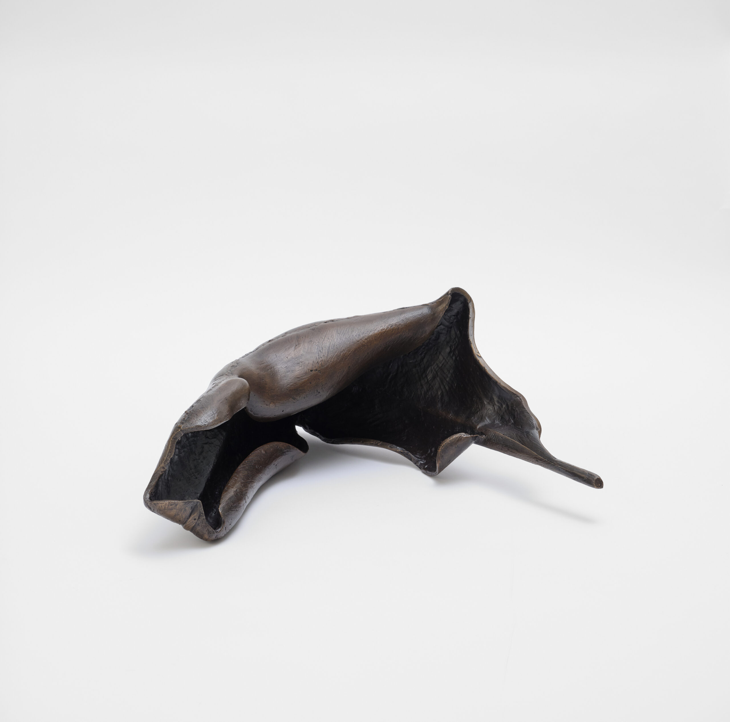 Carl Boutard
Degrowth no. 2, 2025
Bronze
25 x 63 x 61 cm
Edition of 5