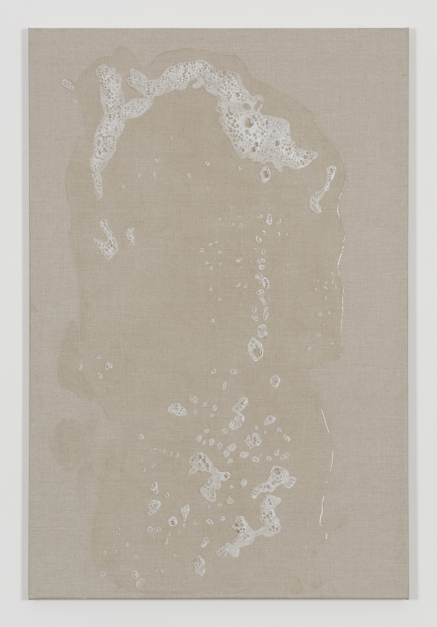 Helene Appel	
Washing Liquid	2018	
Acrylic, watercolor and oil on linen	
120 x 80 cm