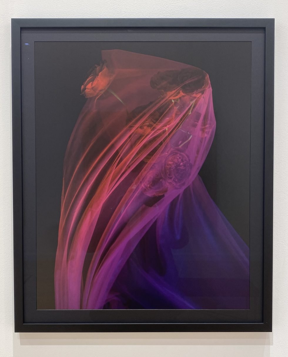 Addie Wagenknecht, Ghost No. 5, 2021.