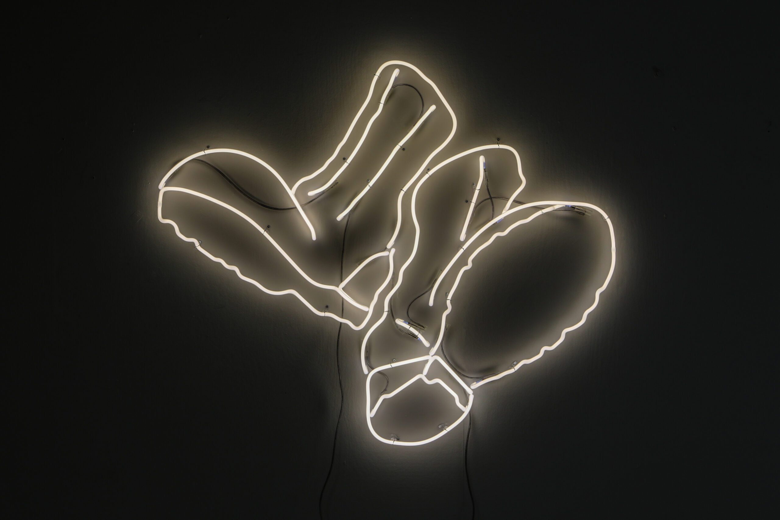 Daan Gielis
Agnostic Front, 2020
Neon
112 x 134 x 5 cm
Edition of 3 plus 2 artist's proofs