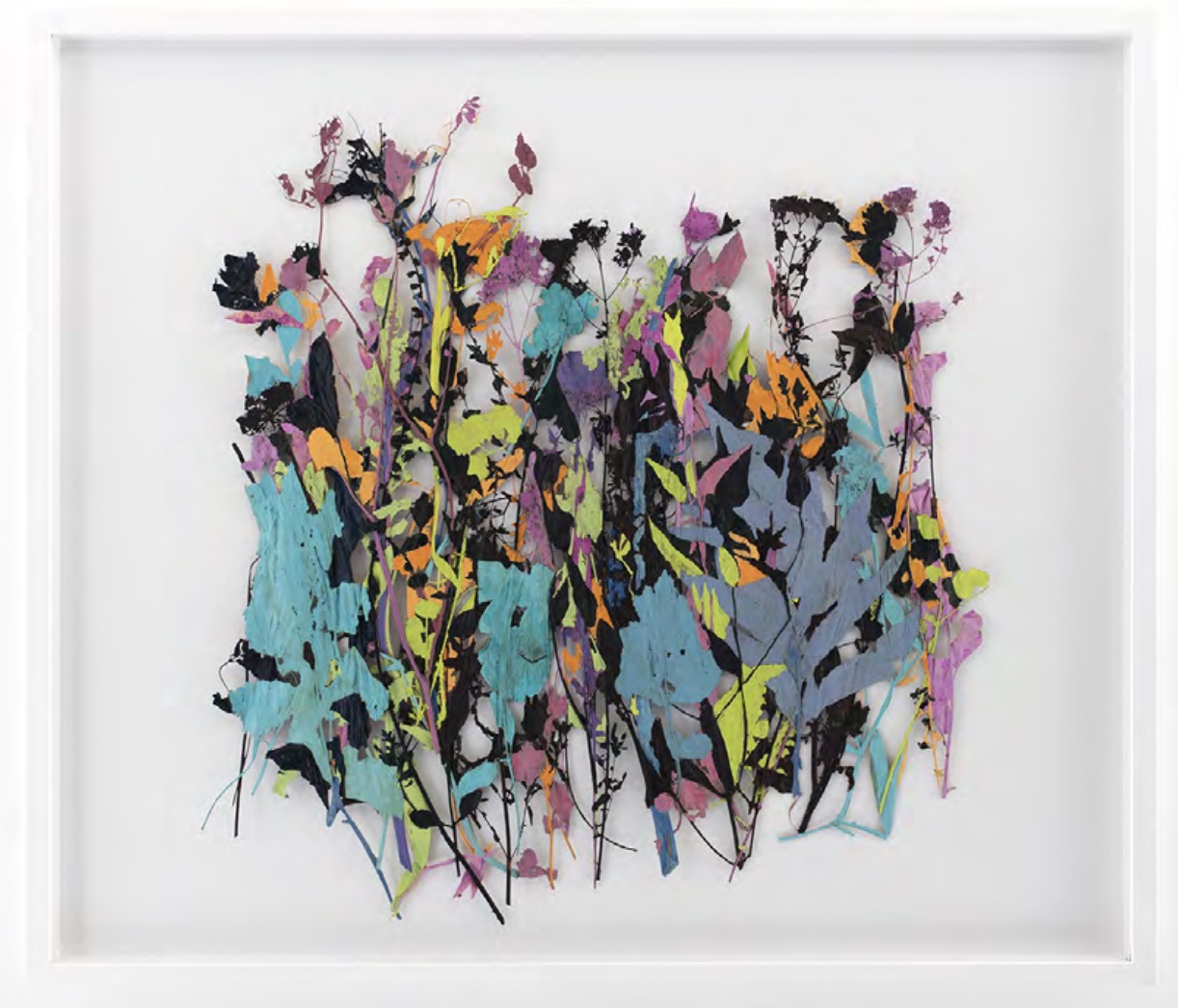 Papiers de Provence, Pressed and dried plants, watercolor, 70 x 80 cm, 2018