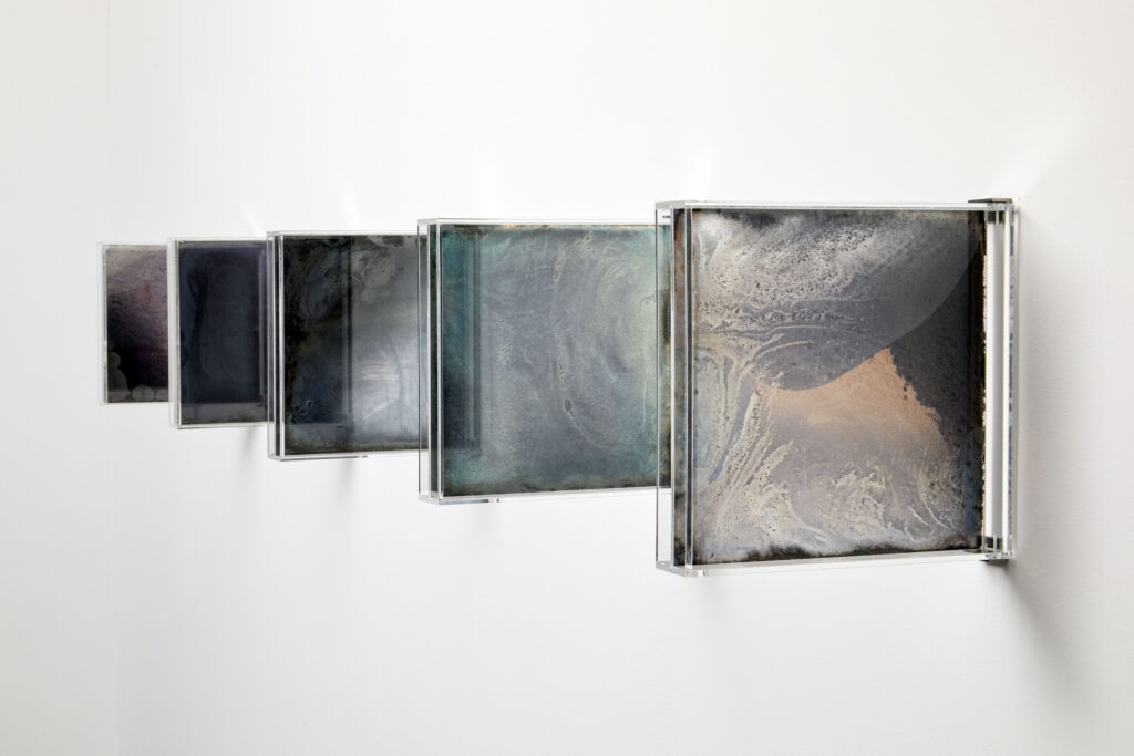 Clepsyadrae, 13, 9, 4, 8, 2