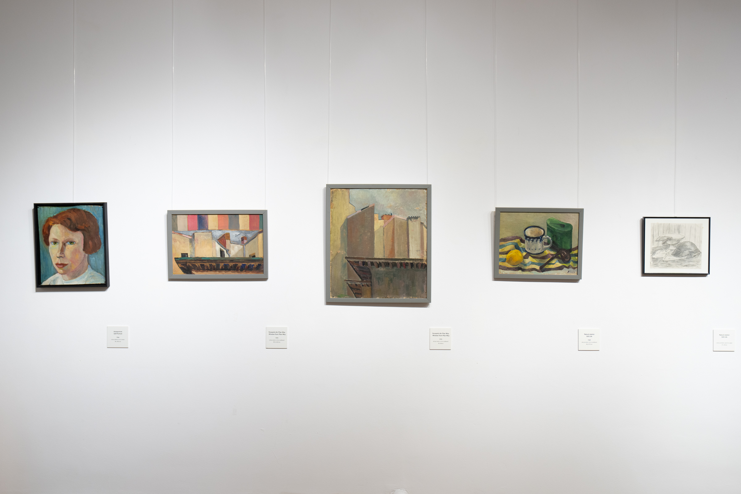 View from ”Geometry of a Pictorial Dream” exhibition, Museum of Art Brașov, 2025