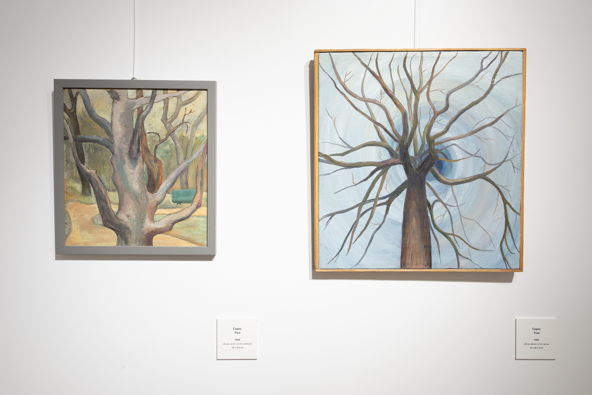 View from ”Geometry of a Pictorial Dream” exhibition, Museum of Art Brașov, 2025
