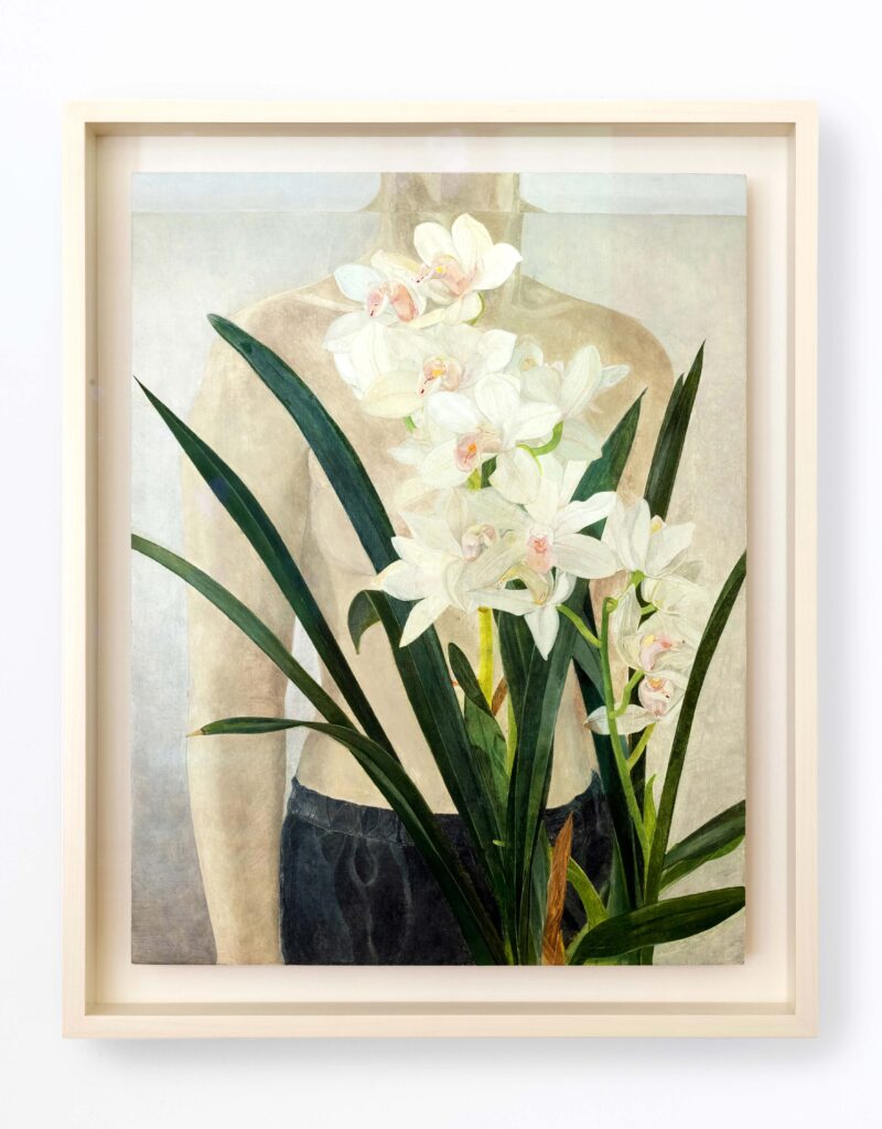 Torso Orchids