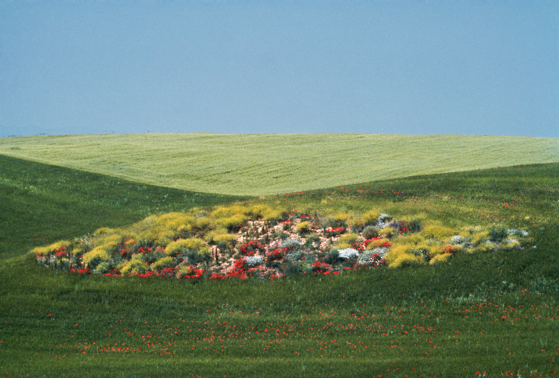 Basilicata, 1975
