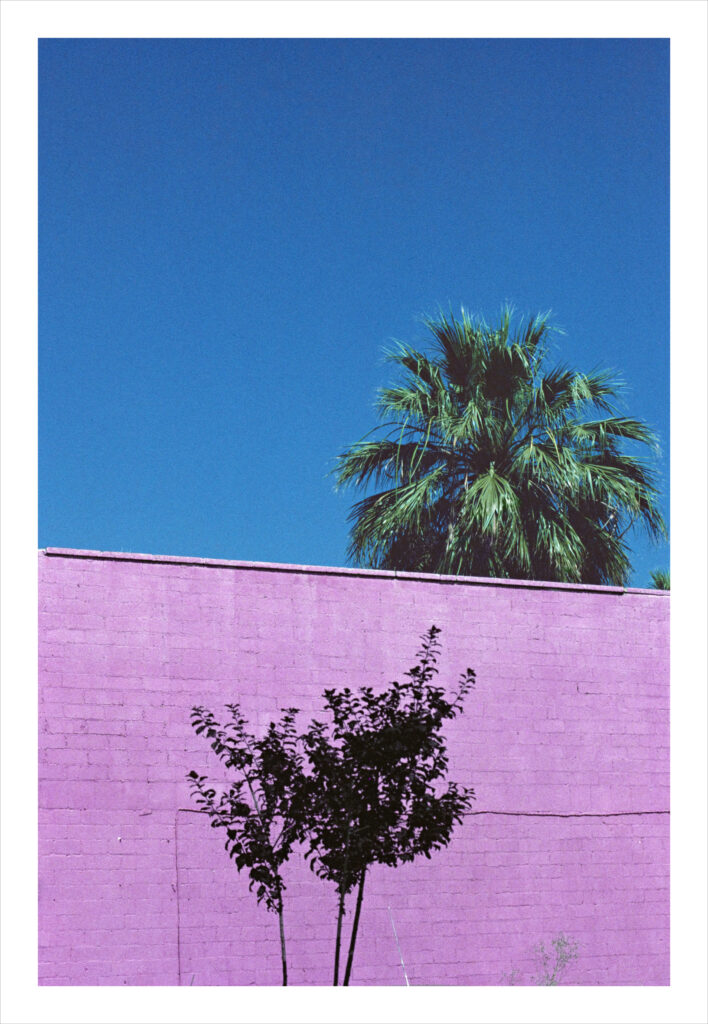Phoenix