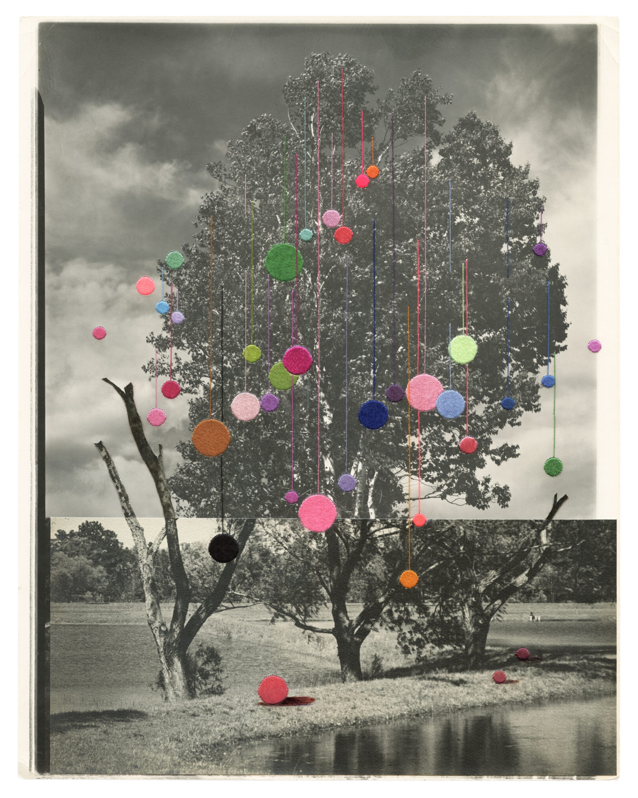 Julie Cockburn, Fruitful, 2026, Hand embroidery on collaged found photographs, 35.3 x 28 cm