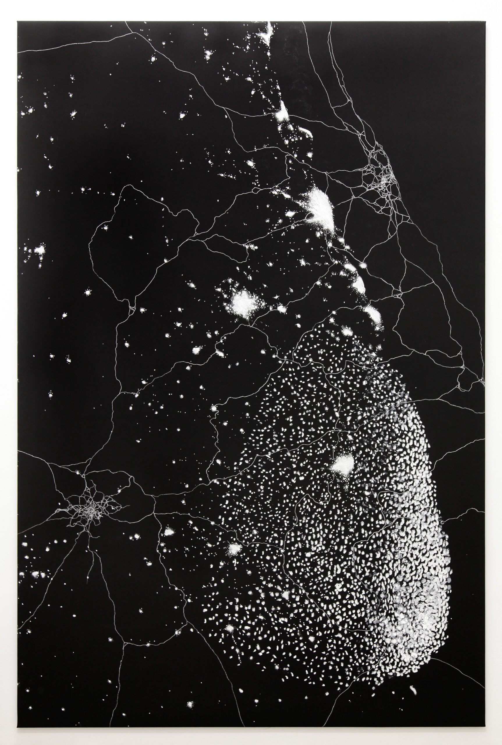 Katie Holten	Constellation (Emergent Migration)	2013	
White charcoal, chalk, oil stick & acrylic on canvas	
230 x 150 cm