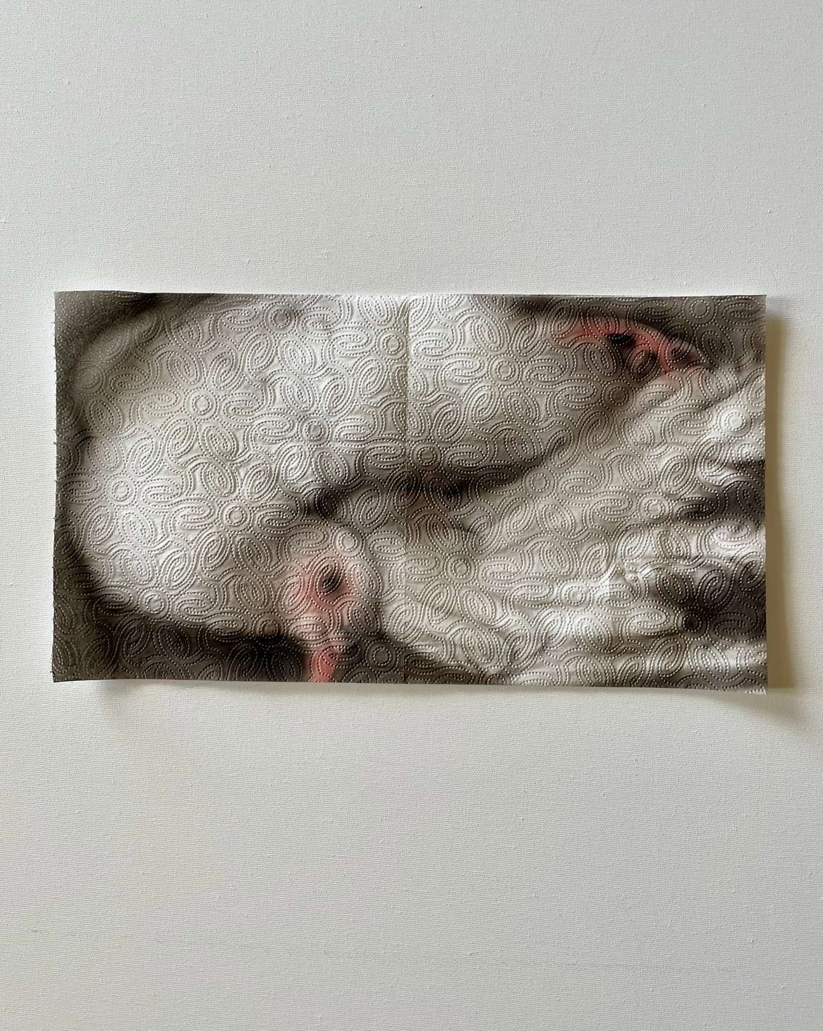 Helena Minginowicz
Peace/disposable, 2024
Acrylic on paper towel 
23x48 cm