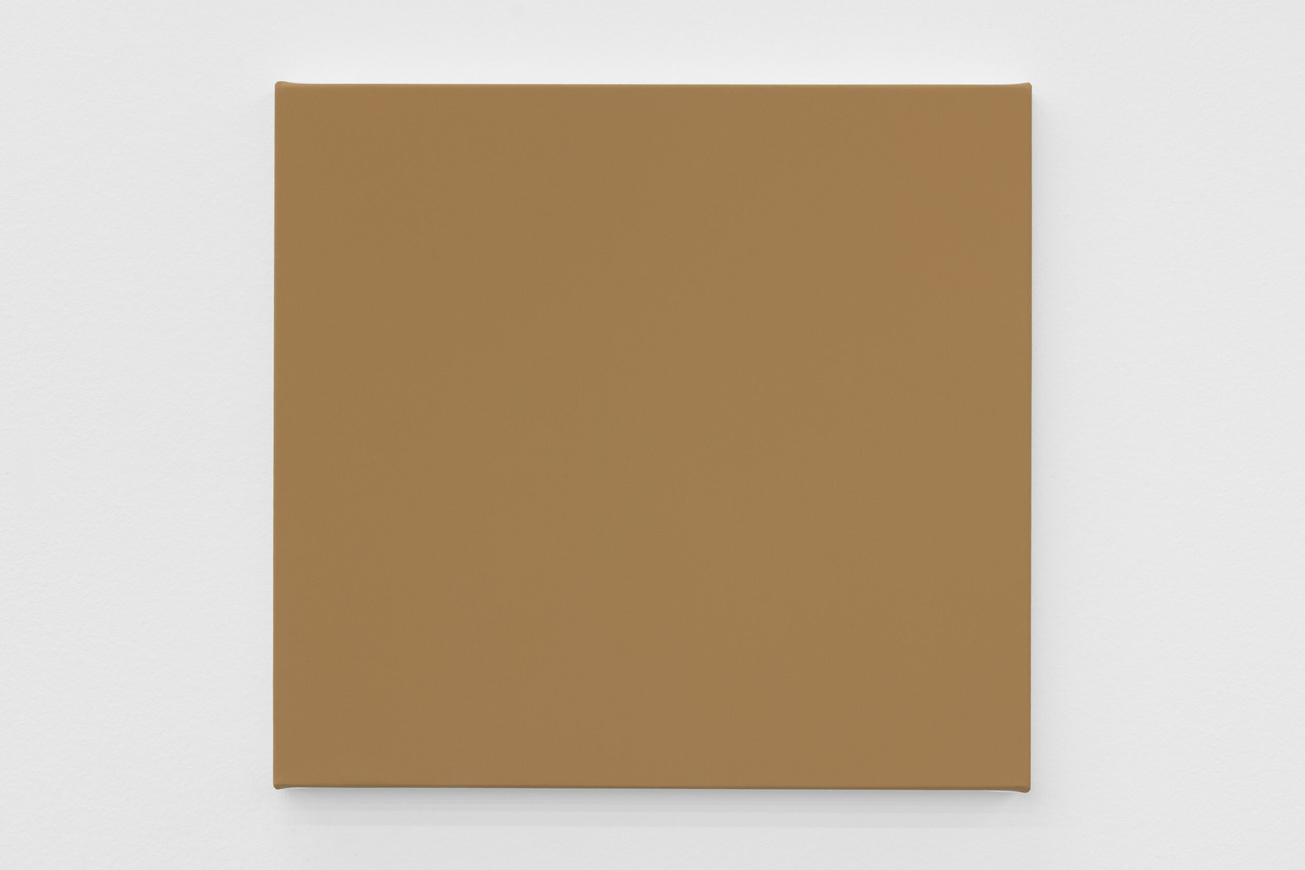 Ignasi Aballí, 'Image 32. A visitor to the Louis Vuitton Foundation in Paris, on the 17th in front of a Rothko work'