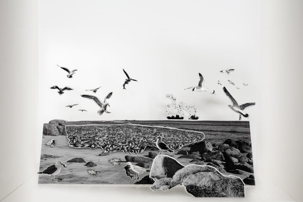 Birds Feasting