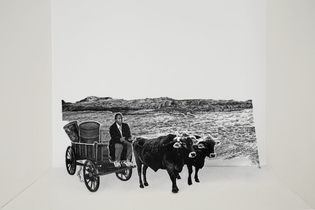 Ox wagons to deliver supplies