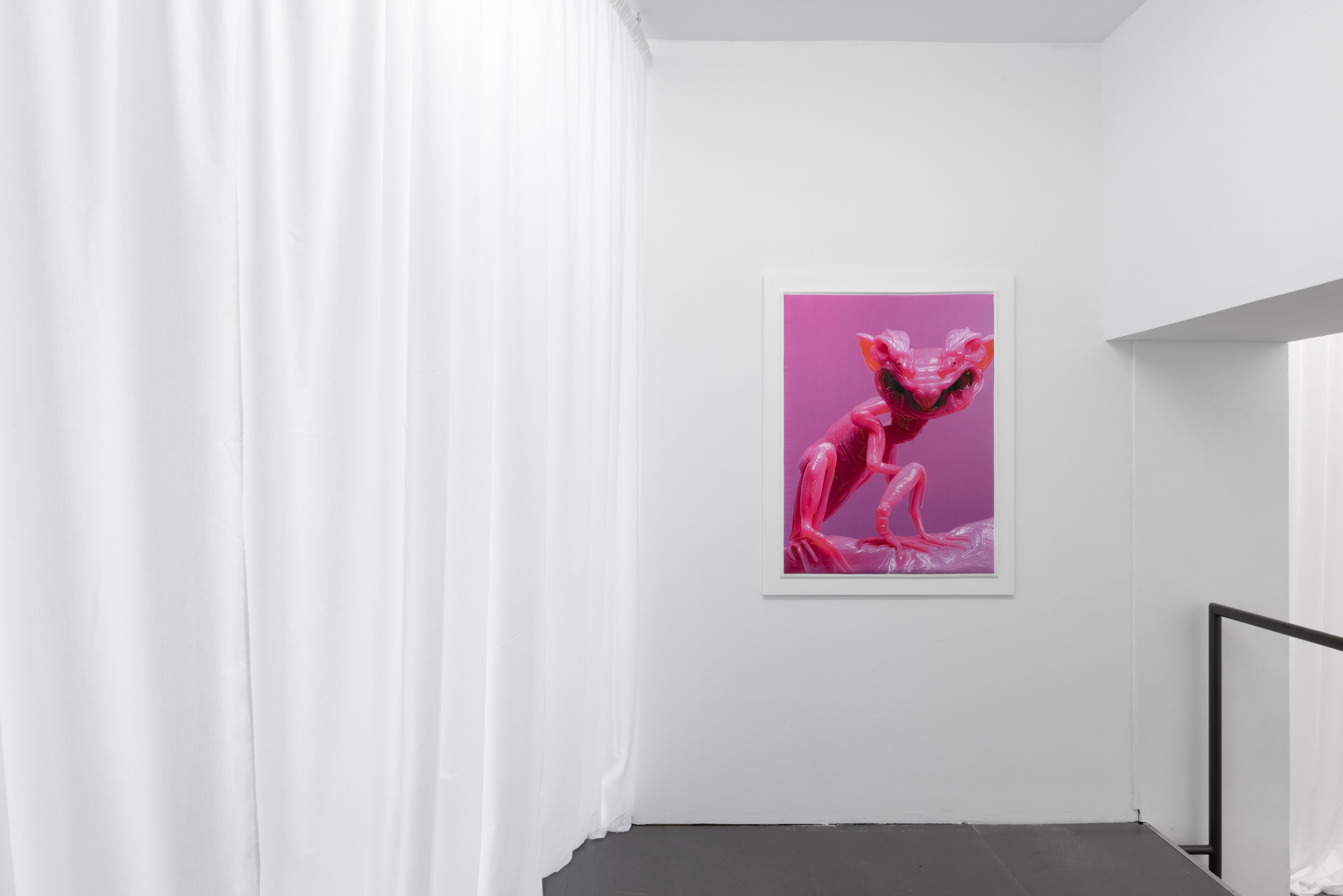 Mary-Audrey Ramirez, COMPANIONS, exhibition view, MARTINETZ, Cologne 2024, Photo: Tamara Lorenz