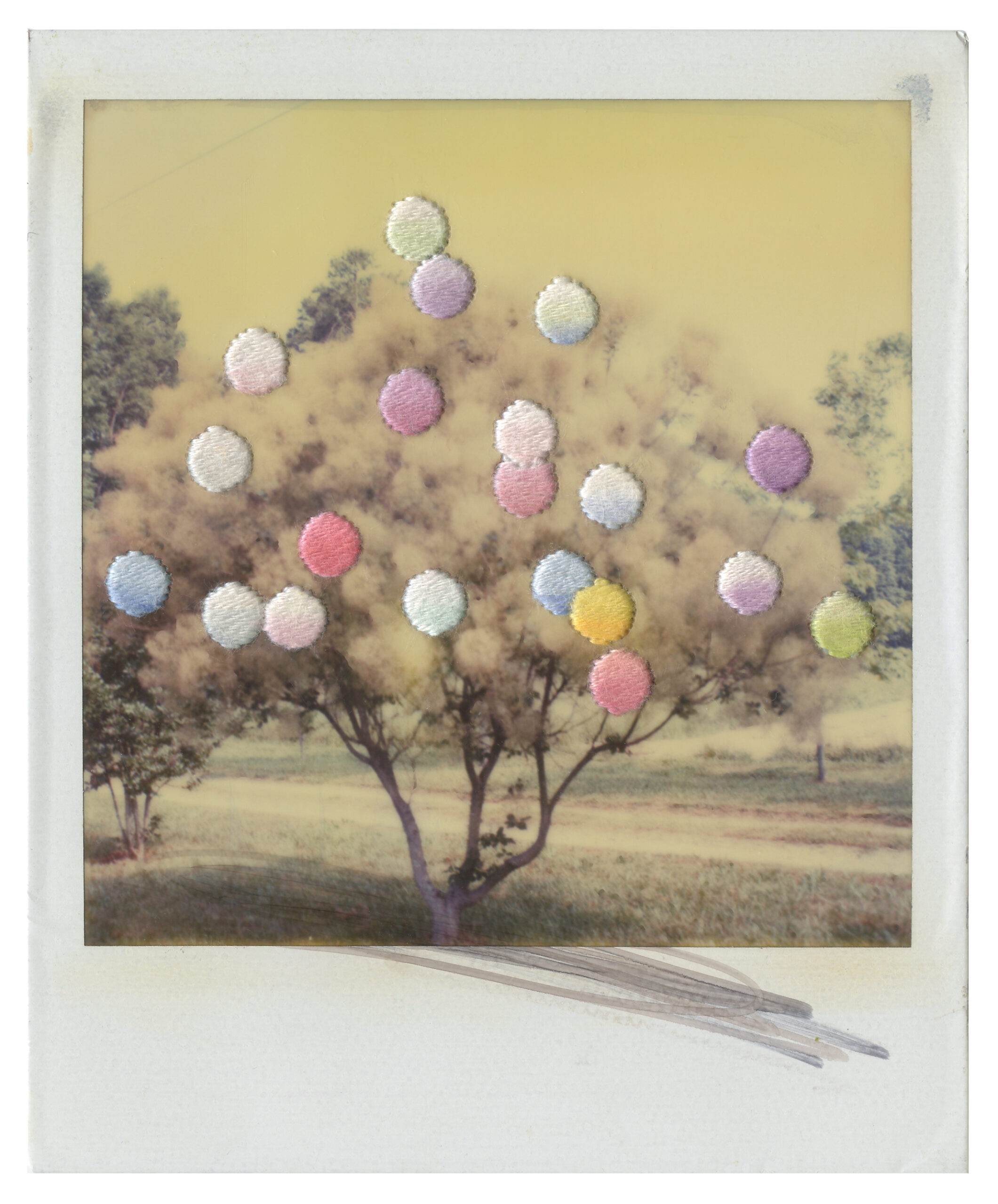 Ripe,Riper,Ripest,2025,Hand embroidery, ink and watercolour on found Polaroid photograph,10.8x8.8cm
