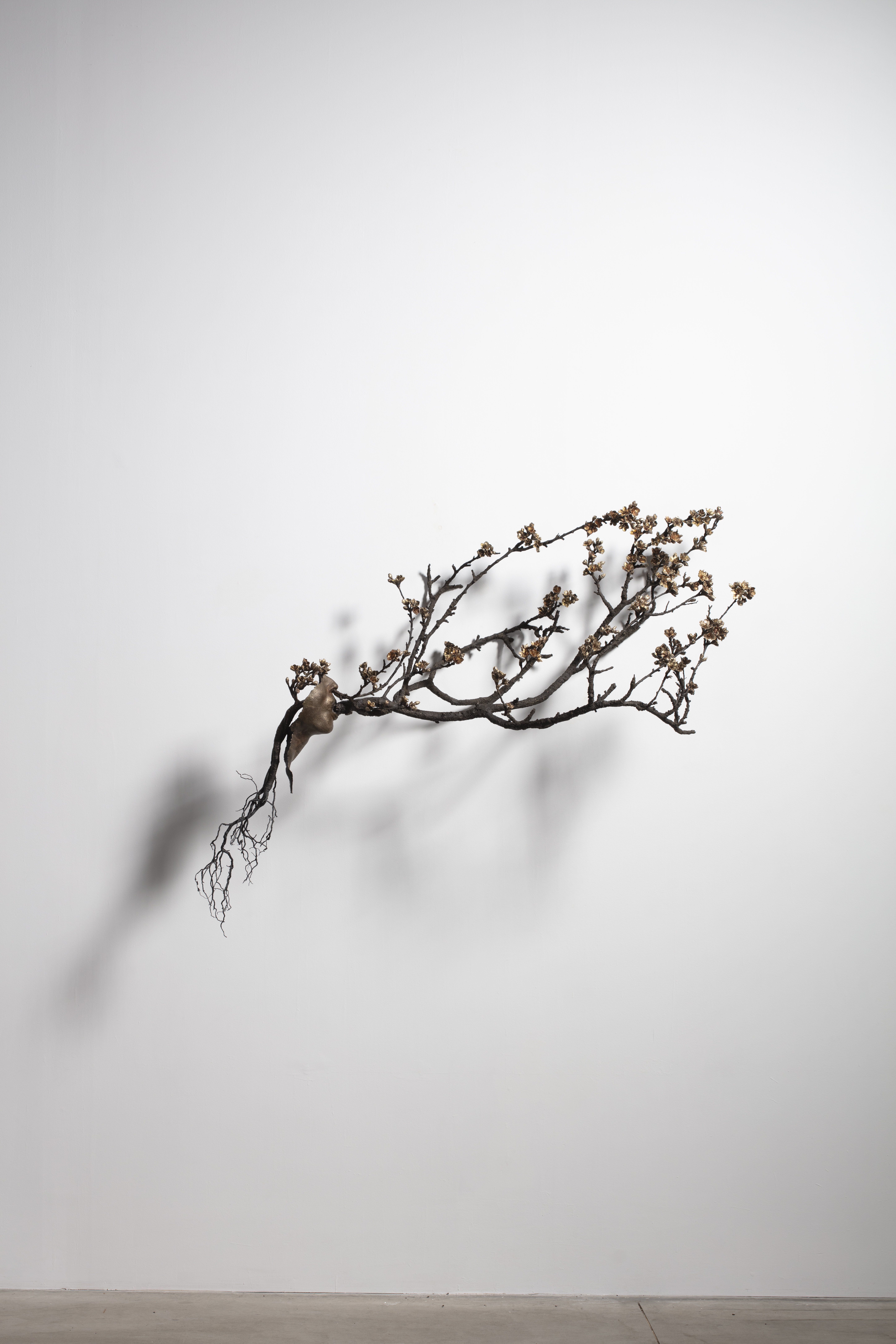 Javier Pérez
INSPIRACIÓN - EXPIRACIÓN (Un suspiro) - version A, 2025
Bronze
132 x 122 x 57 cm