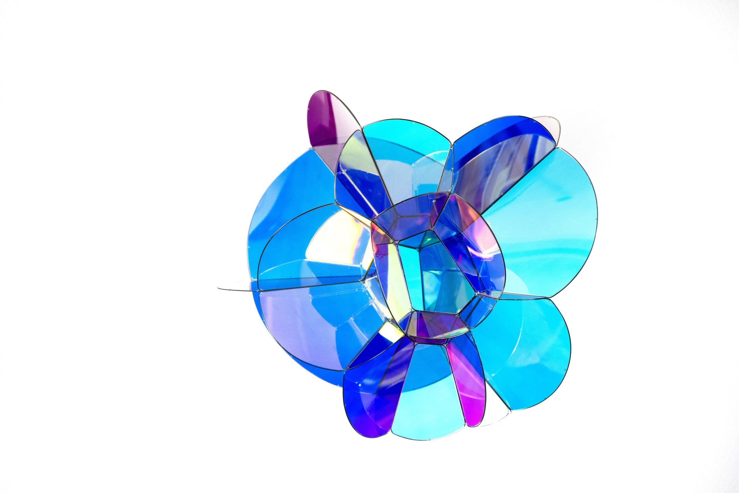 Tomas-Saraceno-Foam-SB-2024
