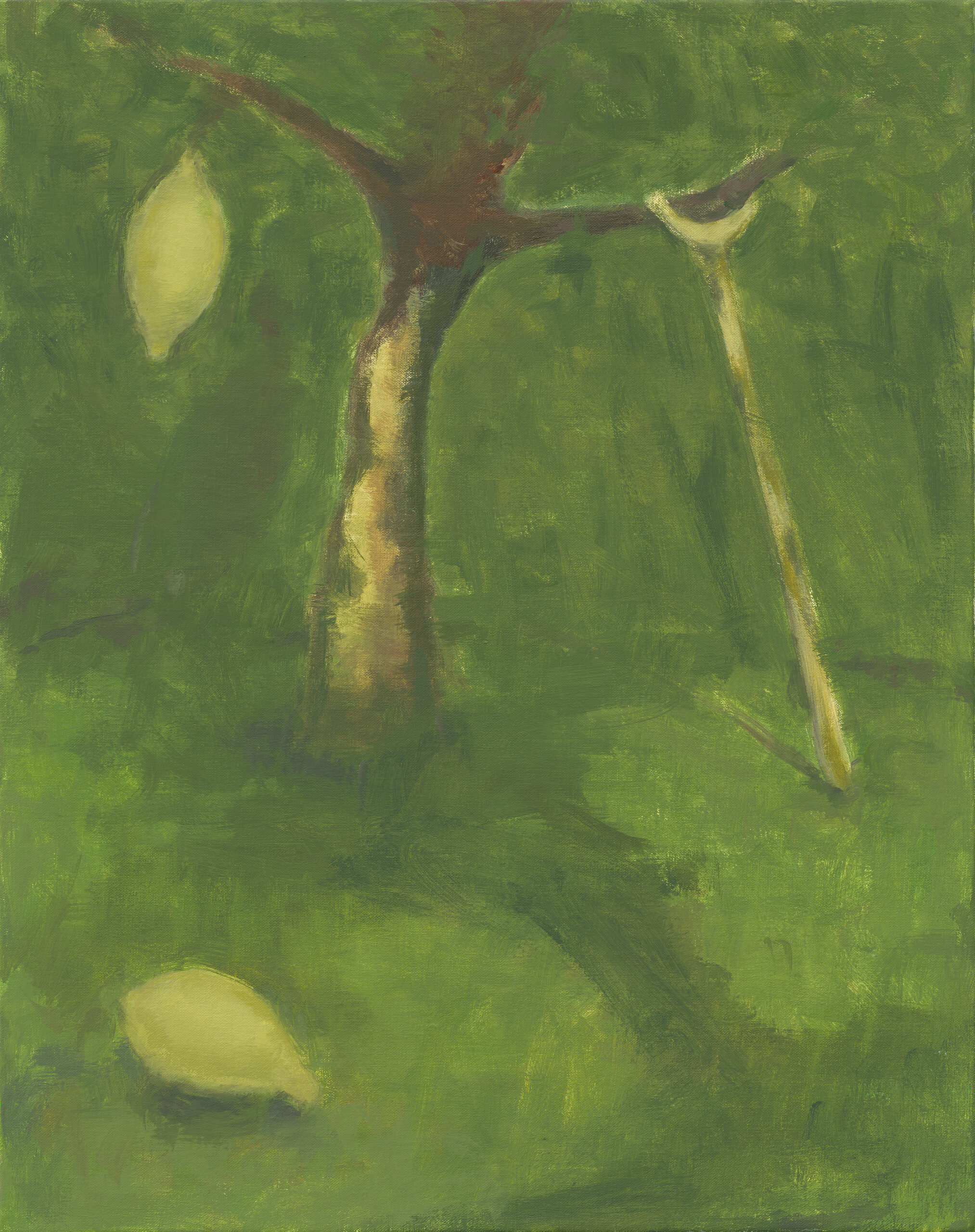 Guy Van Bossche
Wild Lemons #7 (Elegy for a Prick and a Cunt), 2025
Oil on canvas
59.5 x 47.5 cm