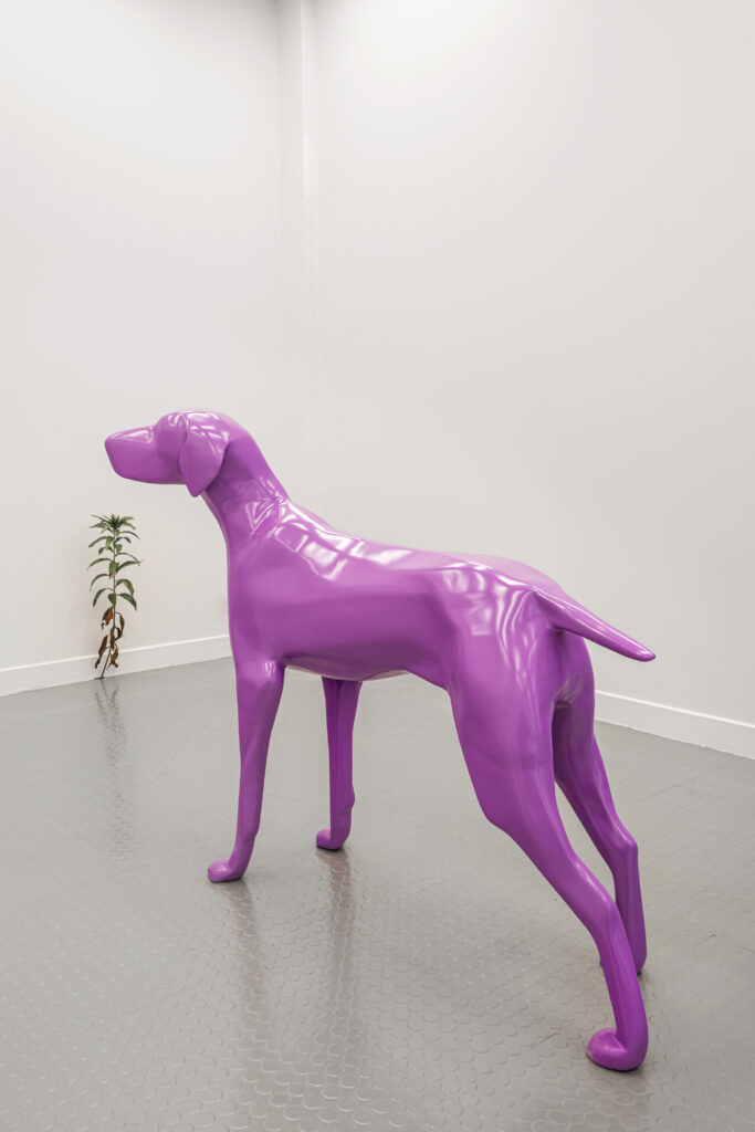 Dog n°4
