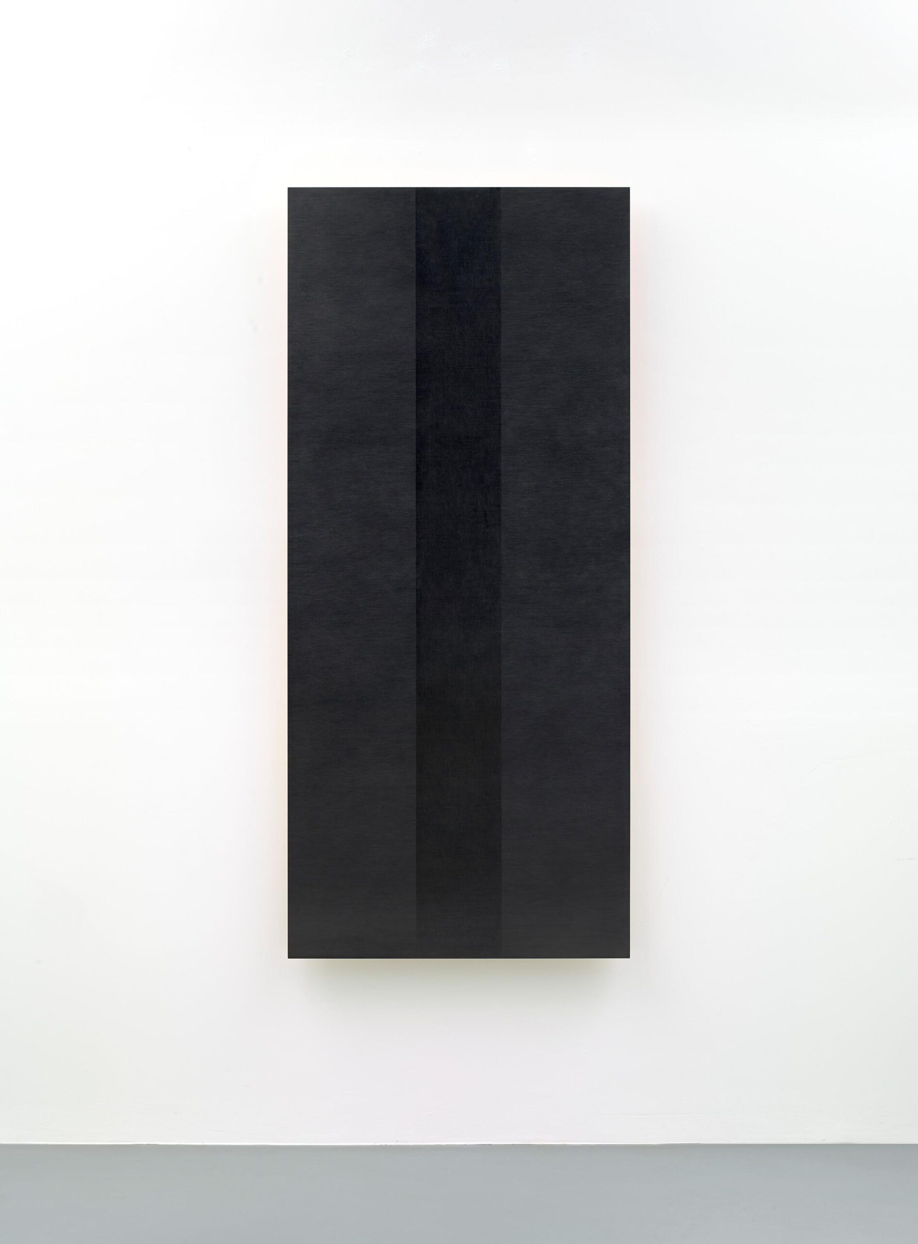 SERAPHIC LIGHT (ANGELIC UPSTART), 2014
pencil on mdf panel
180 x 80 x 5.8 cm