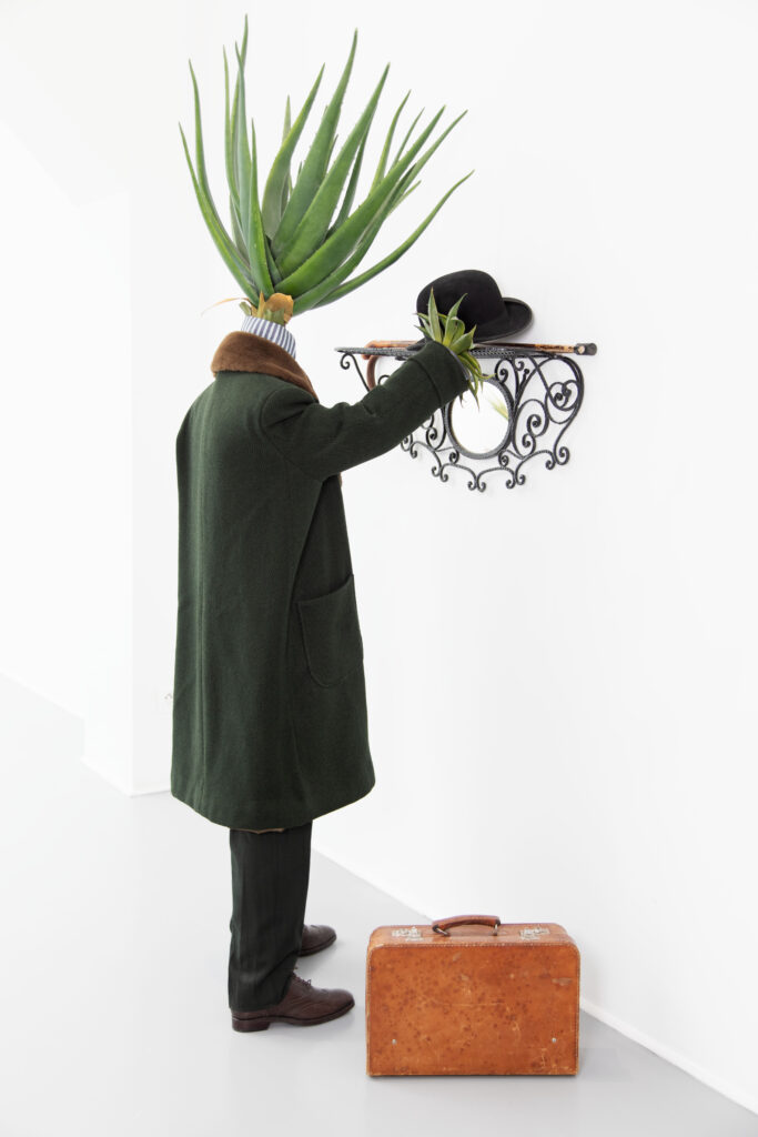 Al O’Very l’Aloe Vera