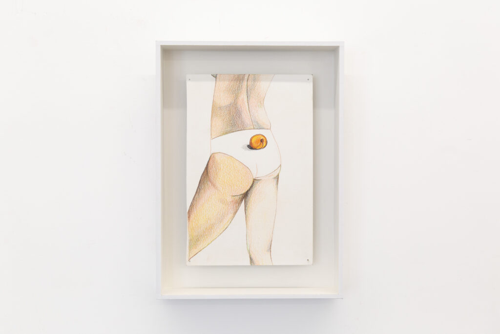 Drawing from the Menù series