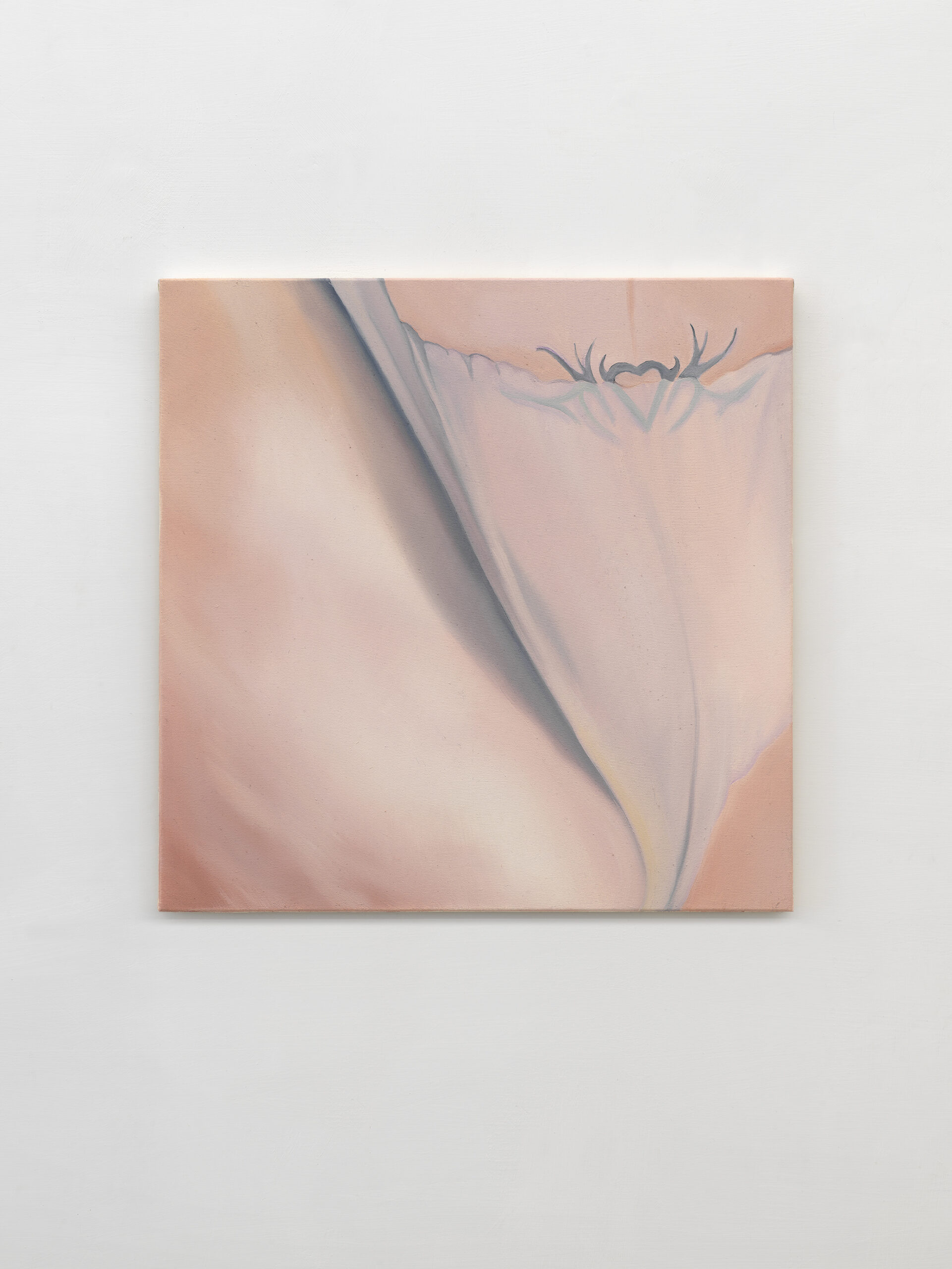 Zucchero filato, 2024, oil on canvas, cm 50 x 50