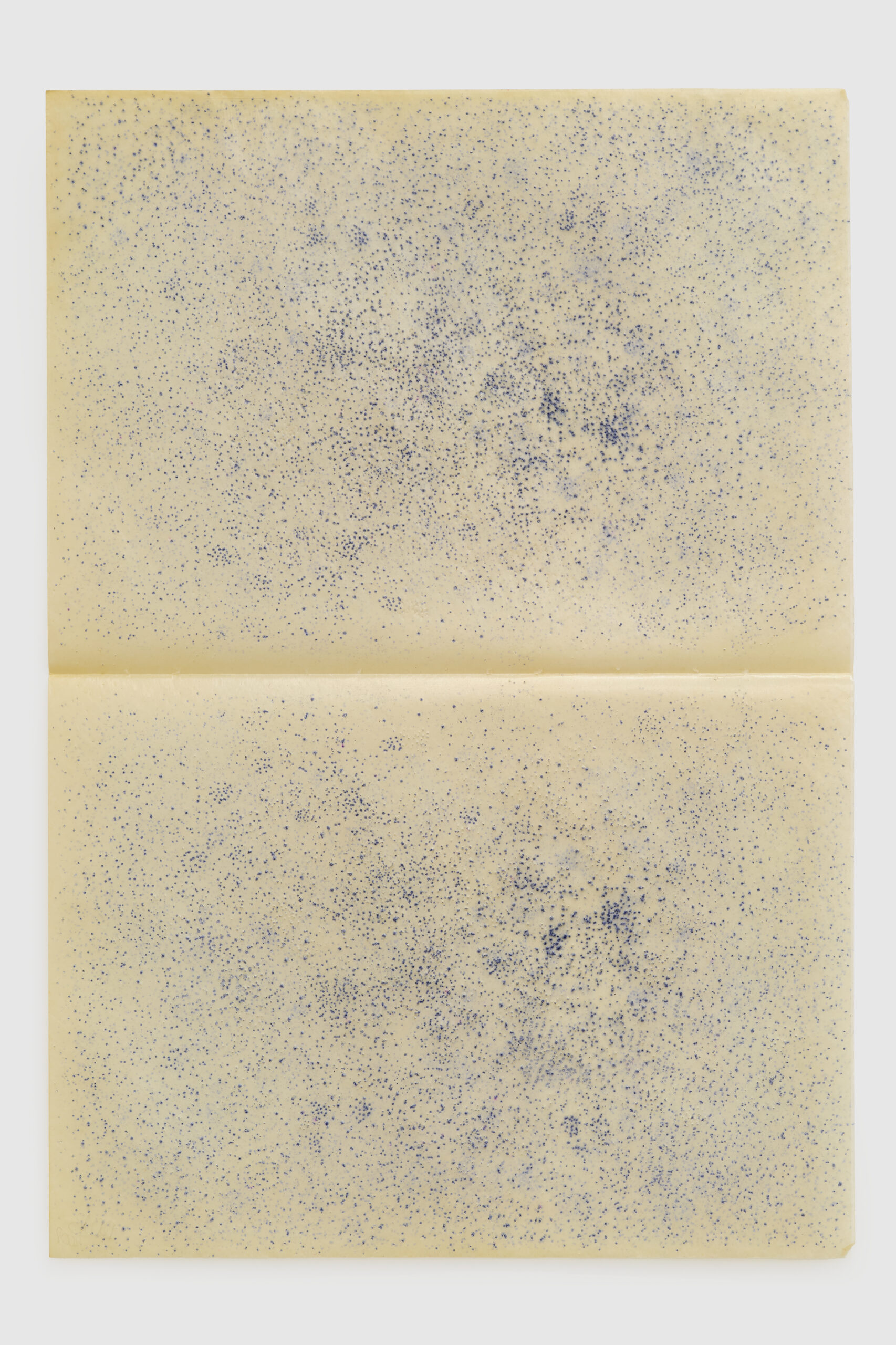 La vie des animaux, 2006,Crystal paper, ink, frame 55.5 x 43 cm