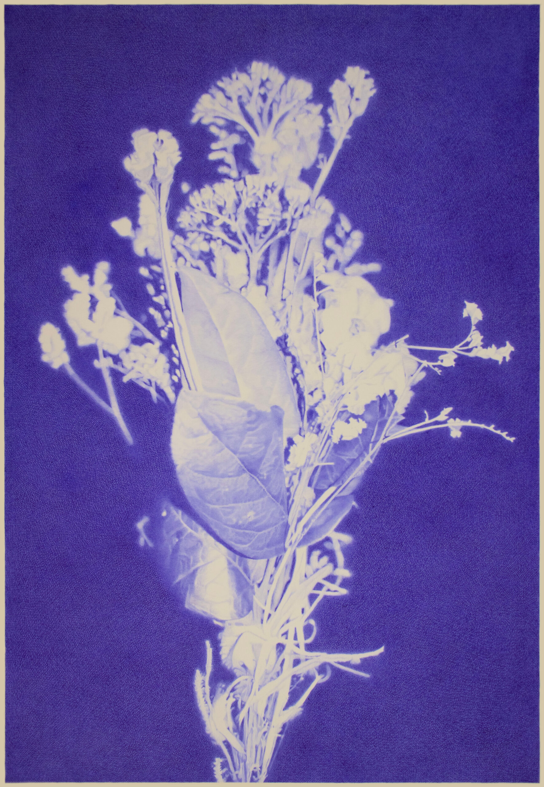 Robin Wen, Fleur, ballpoint pen on paper, 190 x 140 cm, 2025