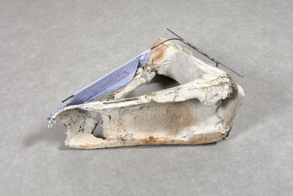 Untitled (Voy, sí)