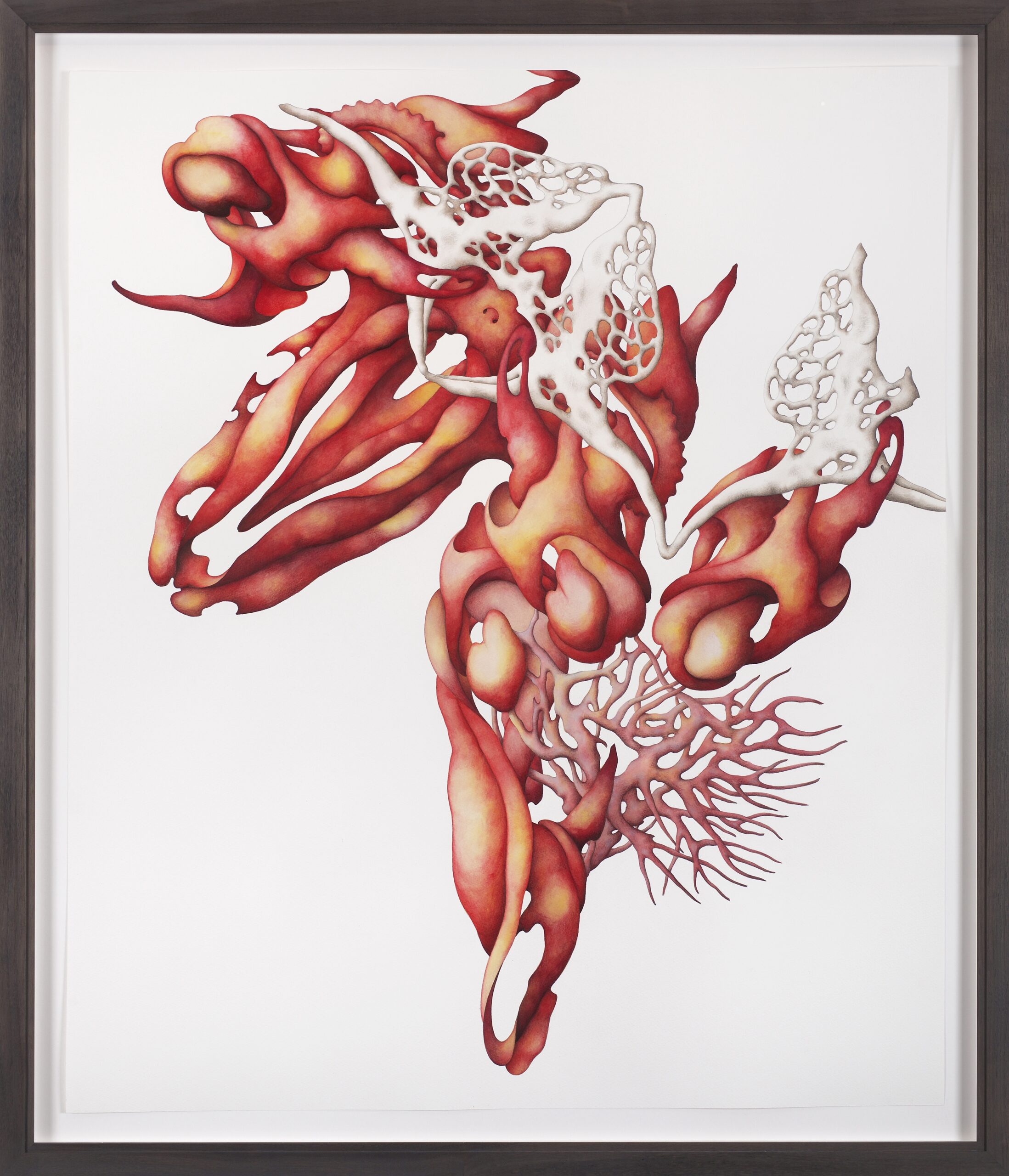 Miron Schmückle, Stellaria I, Galerie Eric Mouchet, Paris, 2024 © Hafid Lhachmi - ADAGP Paris