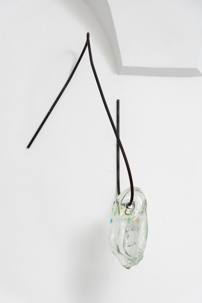 Sonno di ladro (spaziani)