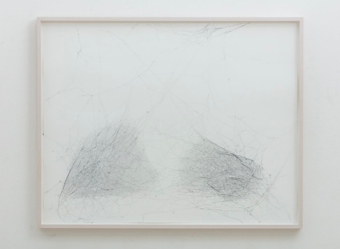 Tomás Saraceno