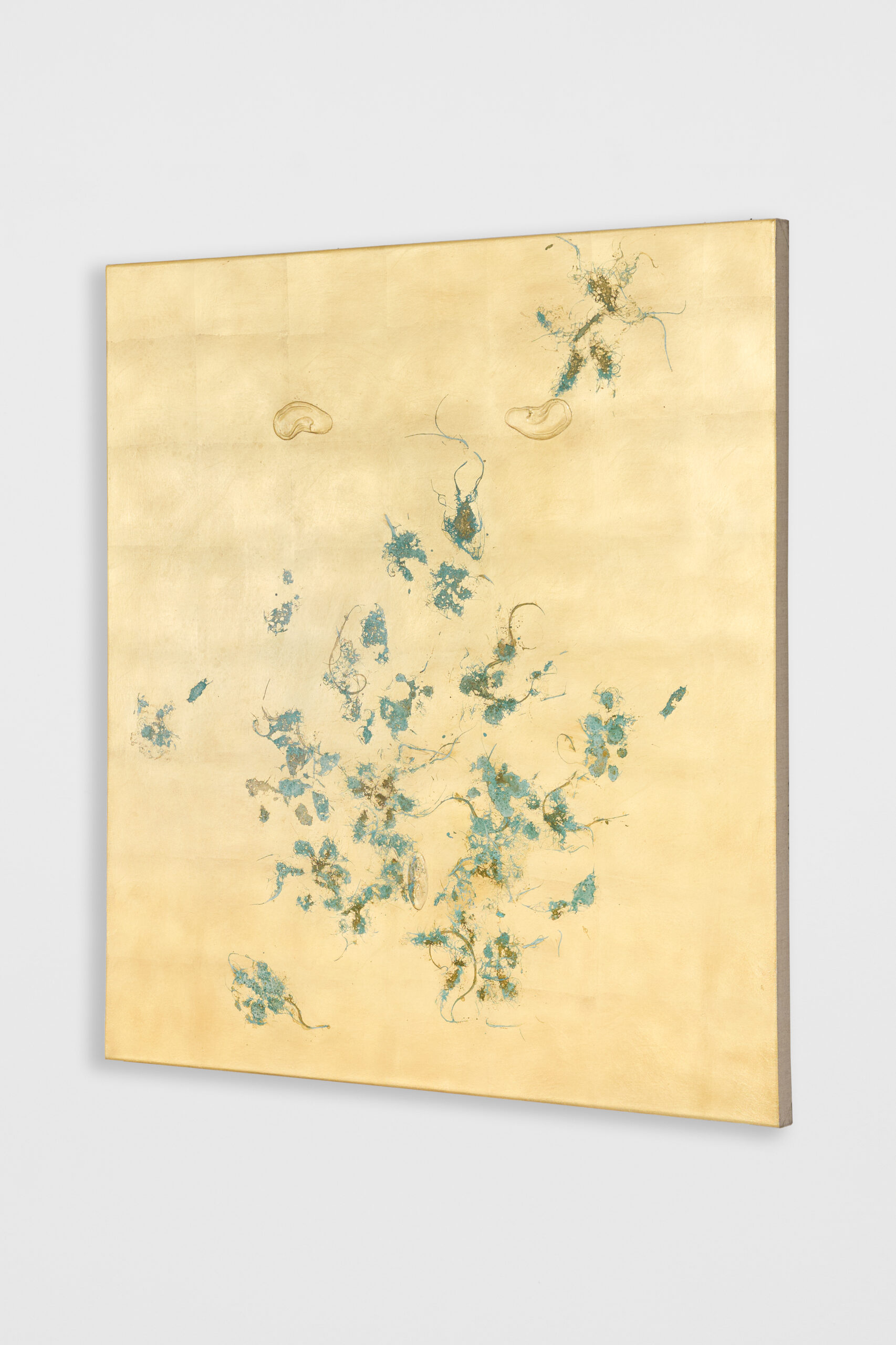 Could not be higher (2025) by Pierre Vermeulen