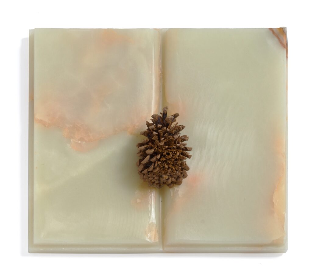 Untitled (Libro con pigna)