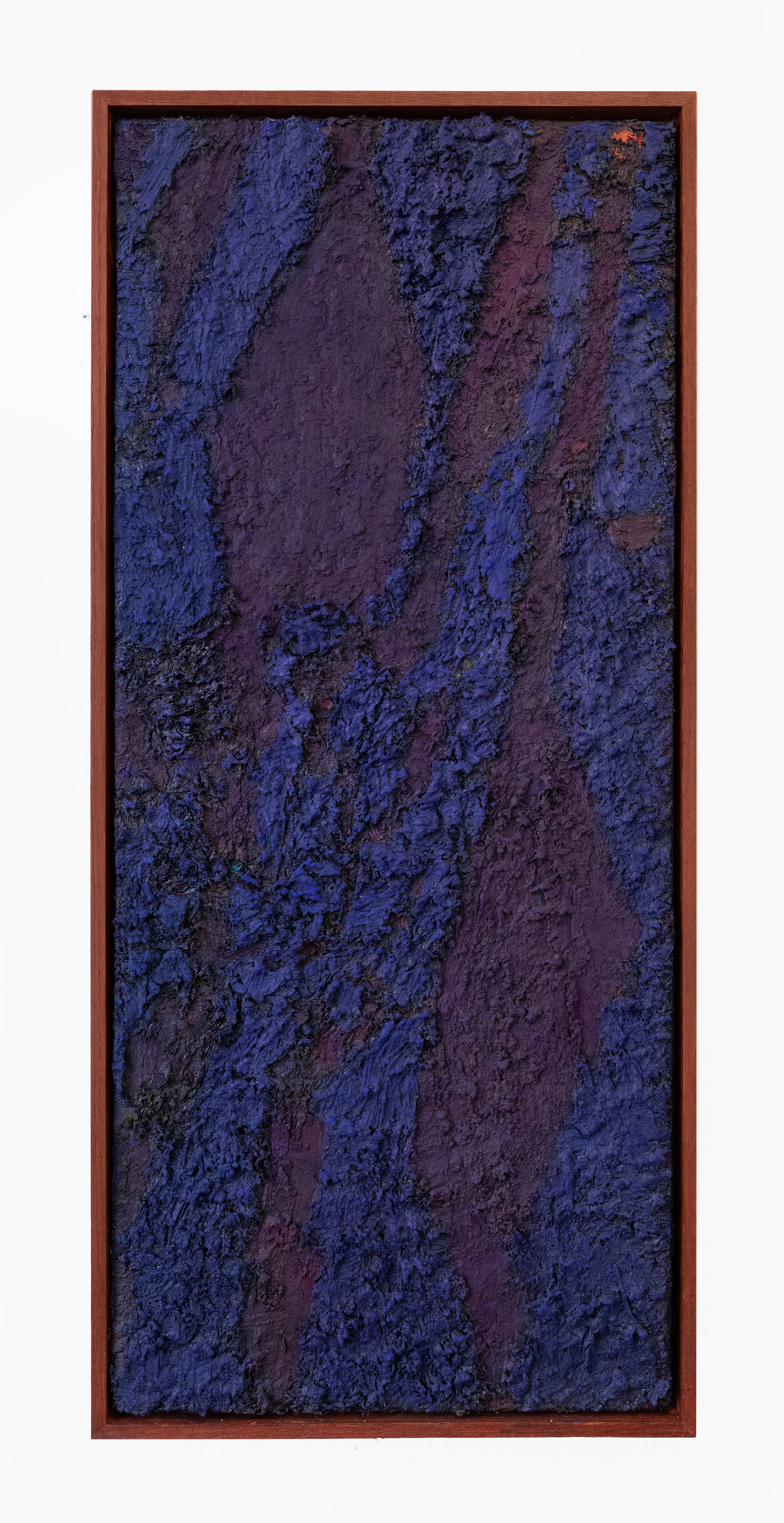 James Collins, Lithic Root 48, 2026, Oil on canvas, 43 x 93cm