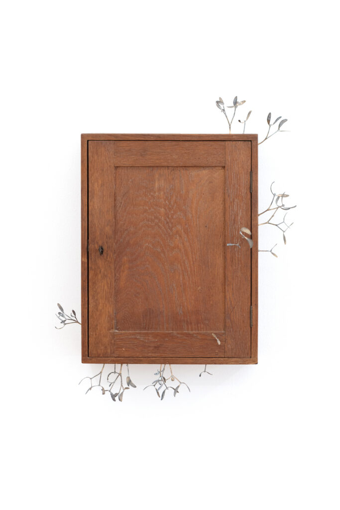 Cabinet V (Mistletoe)