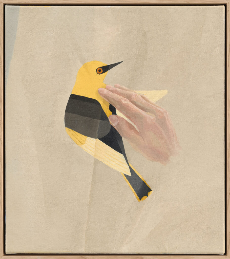 Oriolus Oriolus