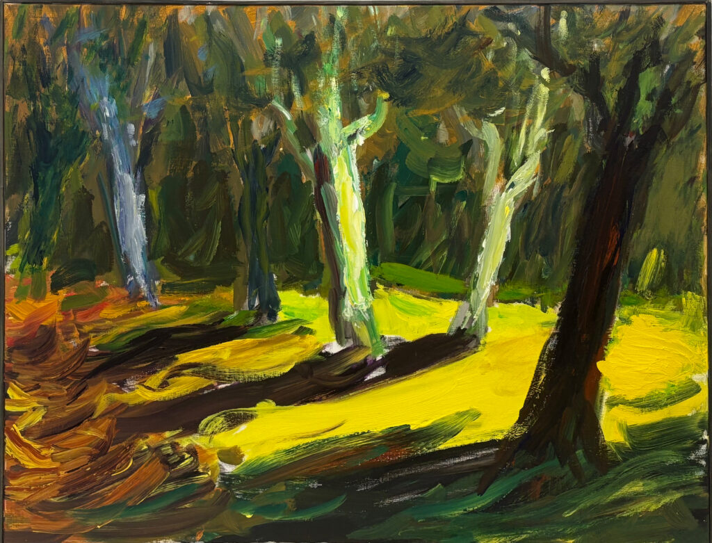 Le Bois de bouleaux
