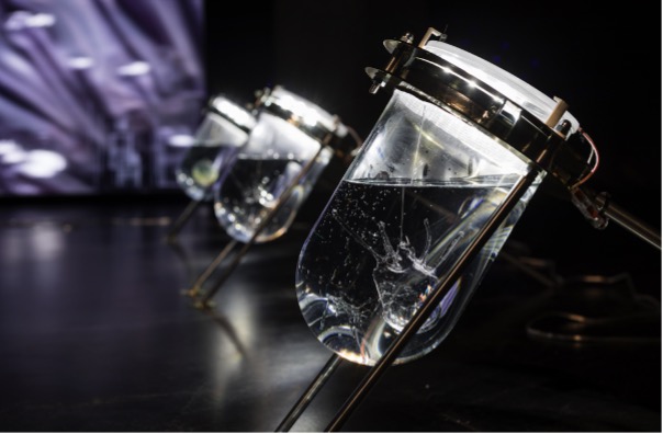 Echinoidea future – Adriatic sensing