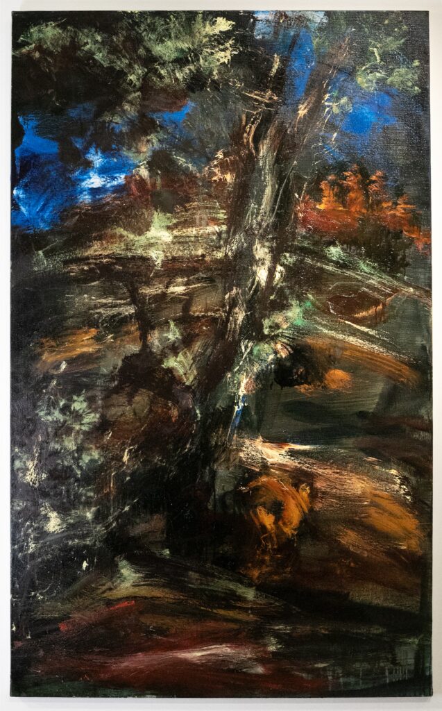 Paysage blessé