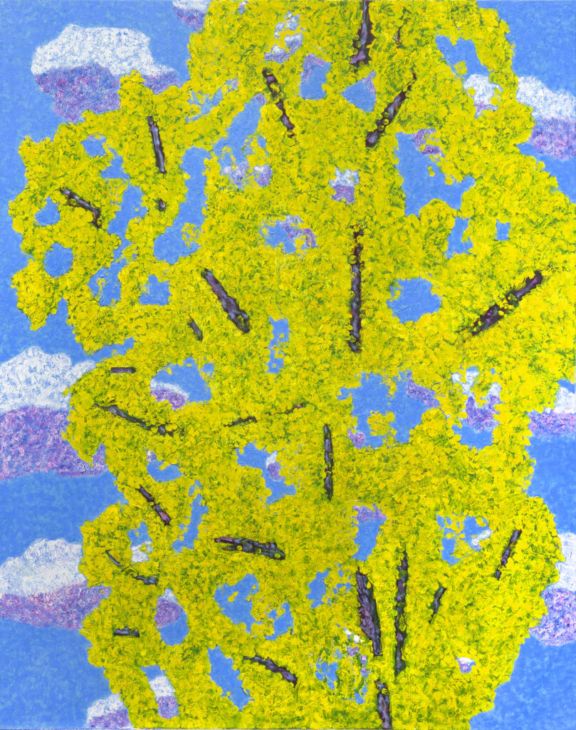 Le mimosa