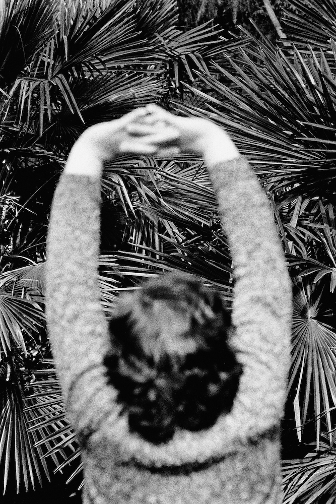 Harmony of Chaos, #02