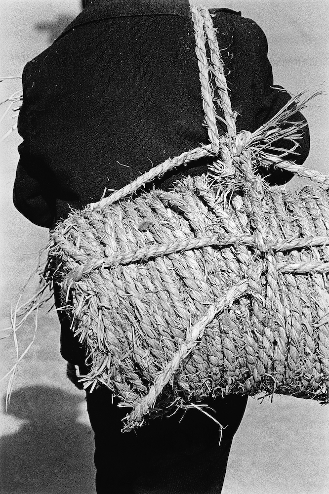 Harmony of Chaos #08