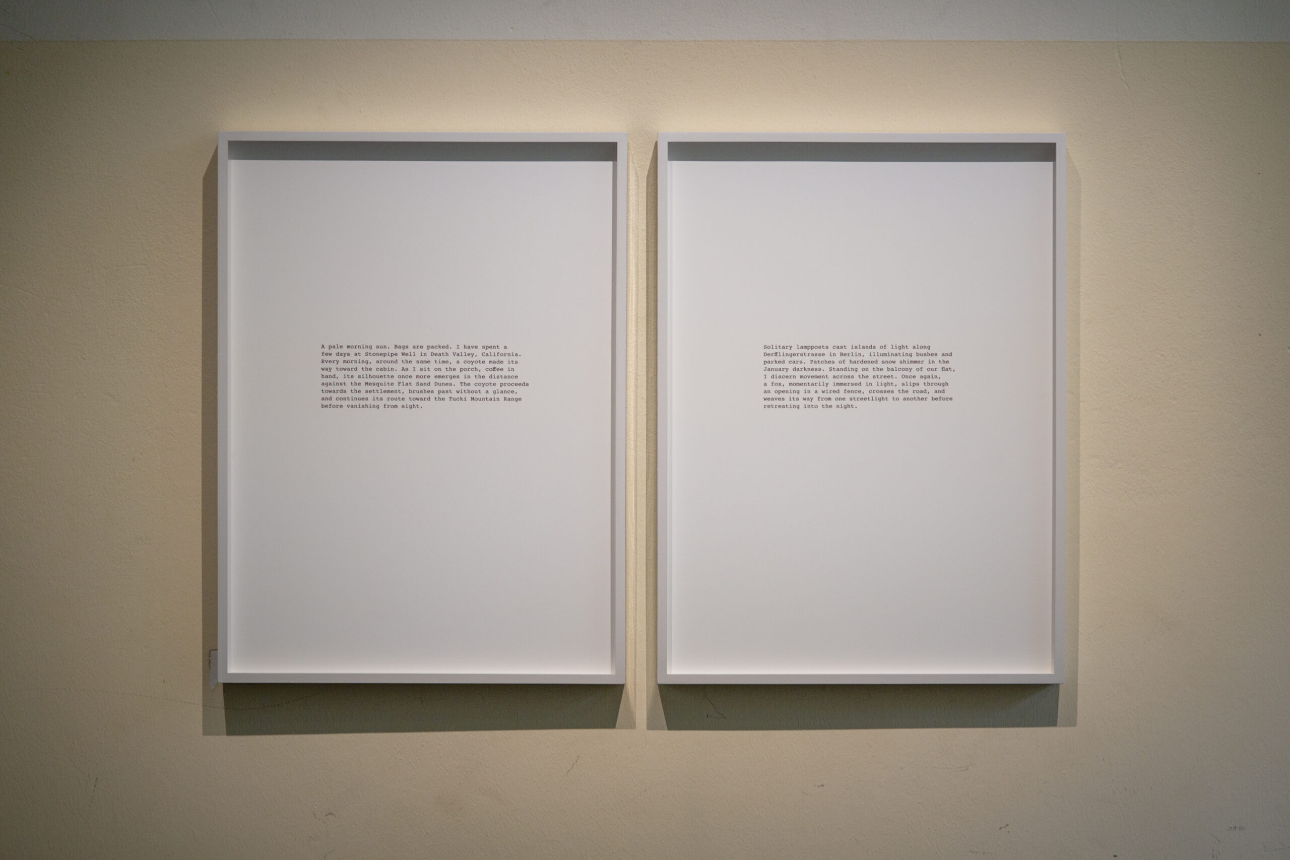 Daniel Gustav Cramer, 'Fox Coyote', 2024-25