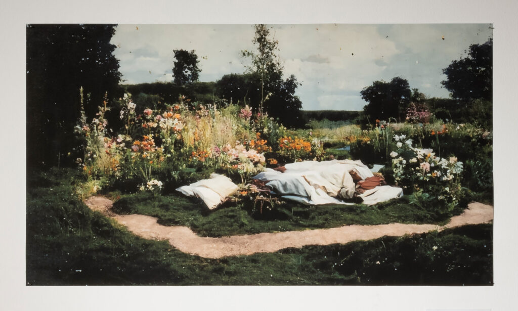 Still-life, the young person’s guide to the orchestra