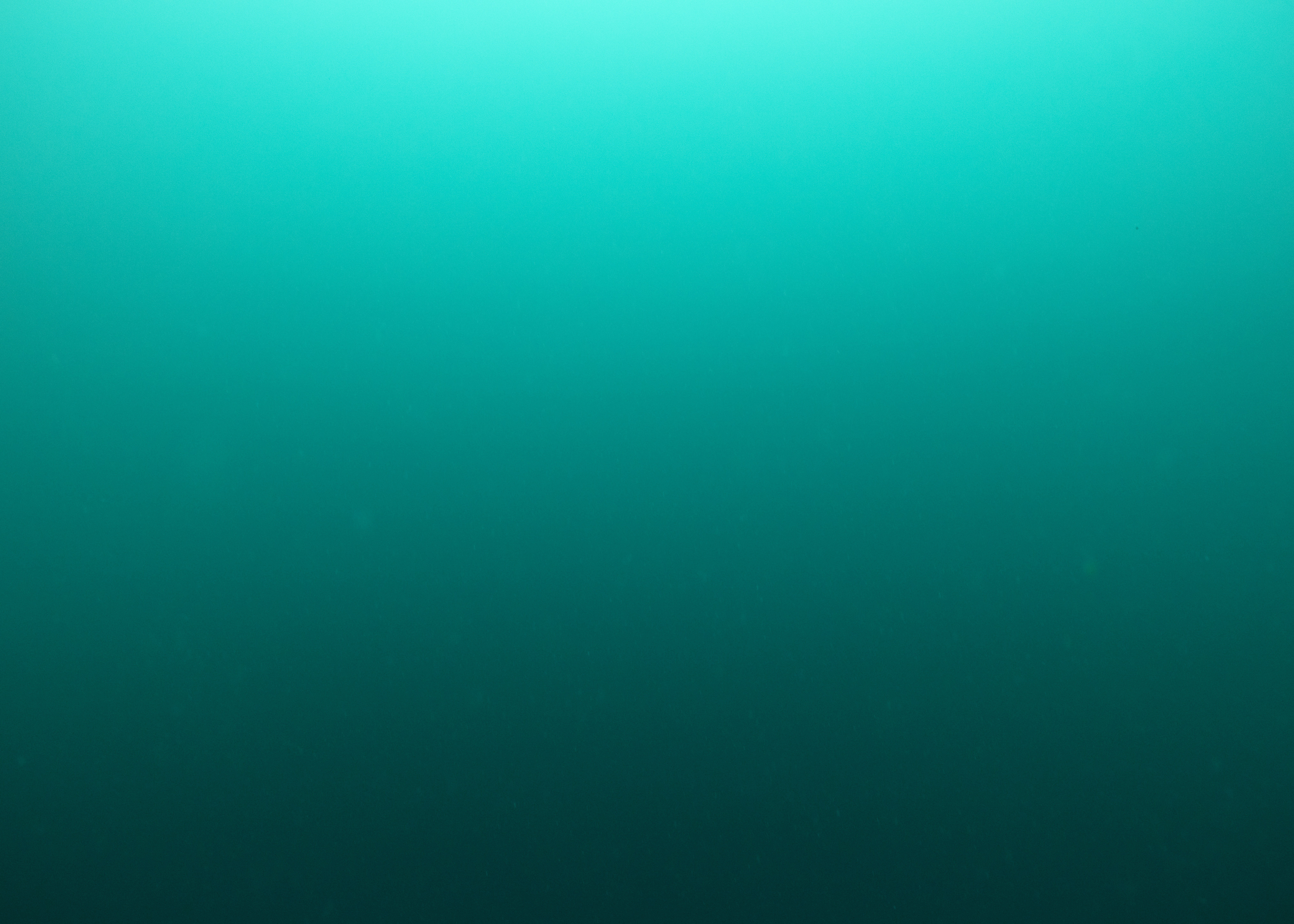 Detail - Nicolas Floc'h, La couleur de l’eau, Colonne d’eau,
Golfe de Gascogne, 2022