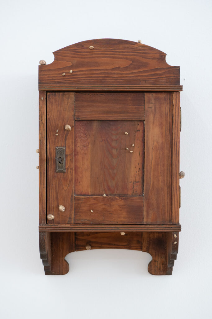Cabinet IV (Schnecken)