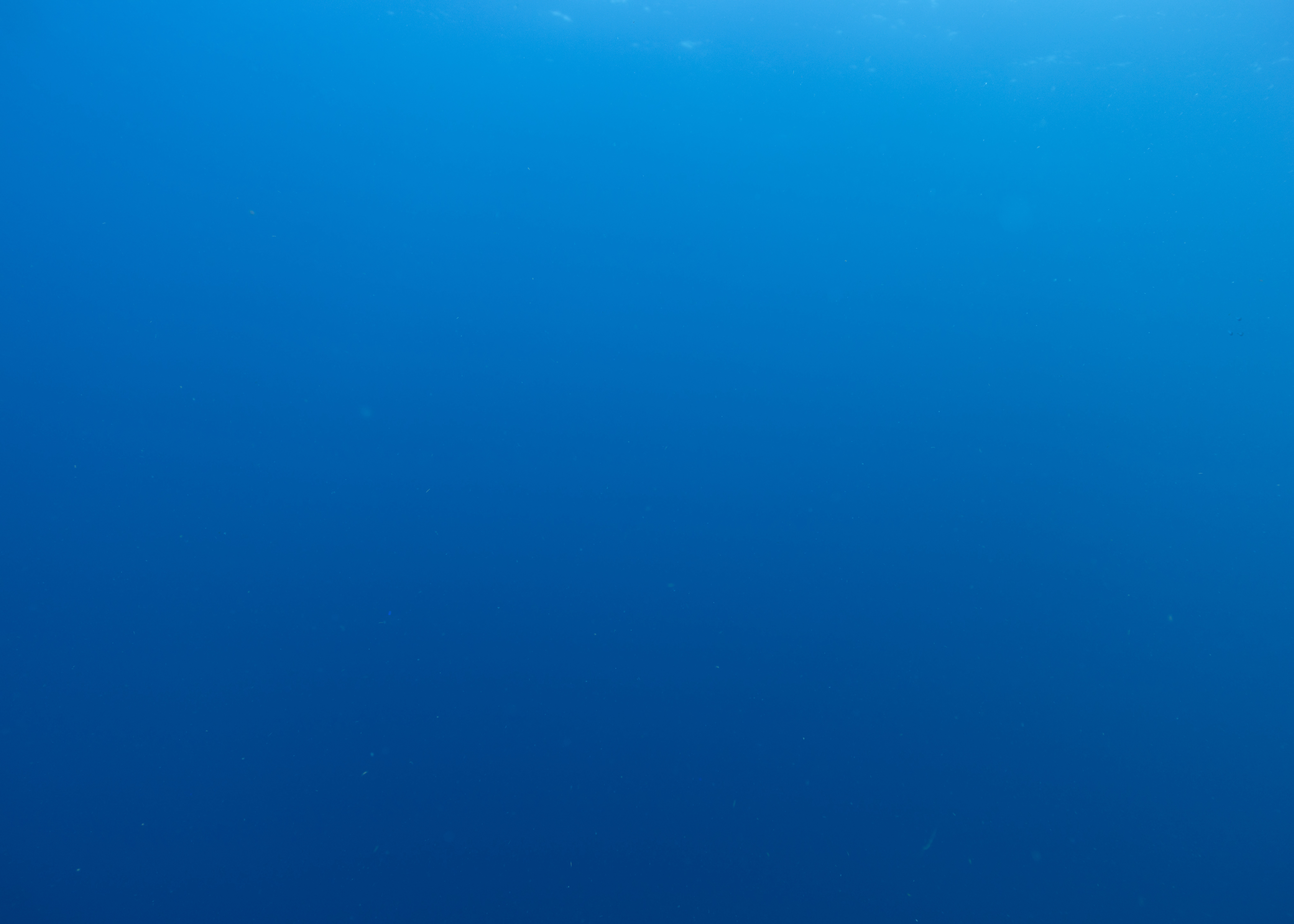 Detail - Nicolas Floc'h, La couleur de l’eau, Colonne d’eau
C42, Fleuves Océan - Mississippi,
Golfe du Mexique, USA, 2022