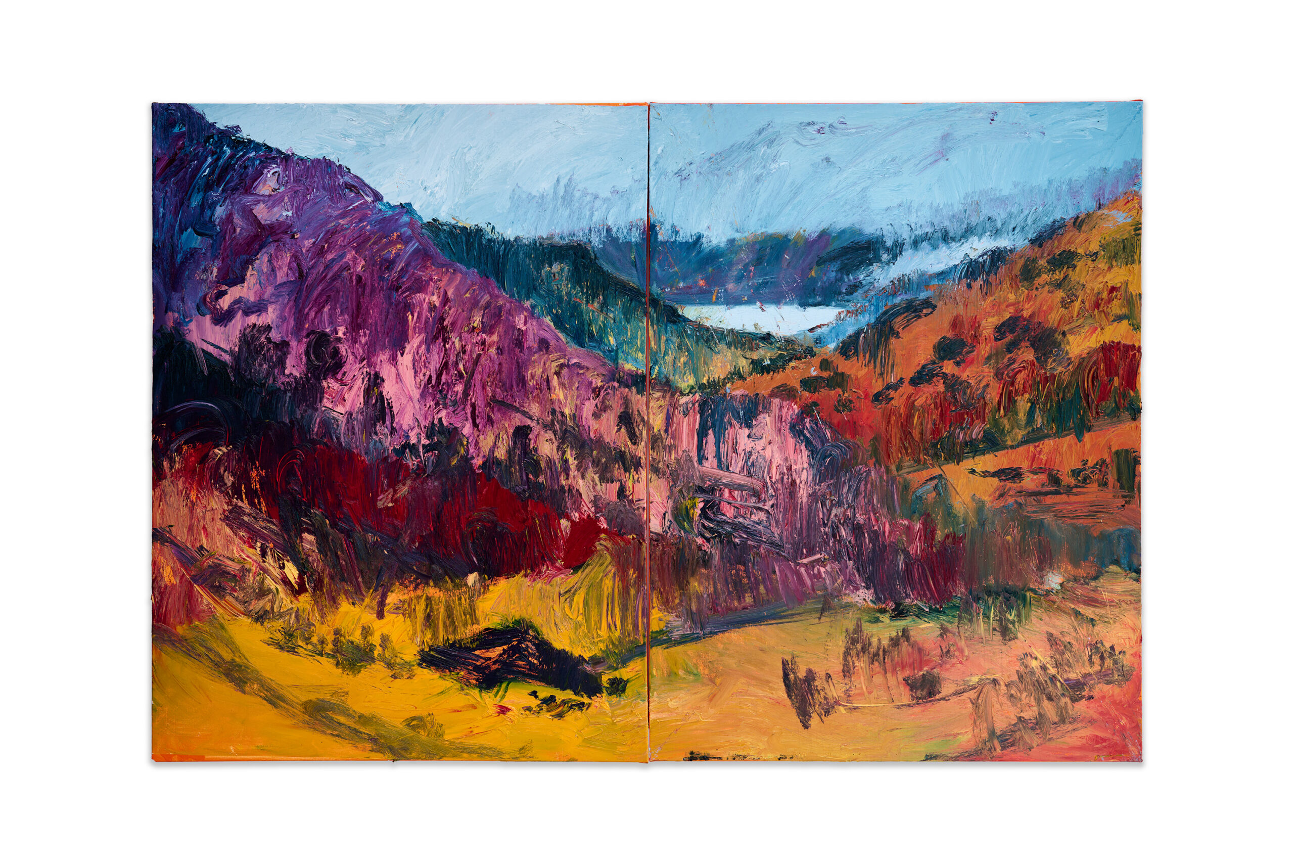 The Heat Came Early
2x200x150 cm
oil on canvas
Isle of Skye, Scotland
2024